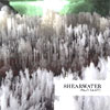 albumhoes van Palo Santo (Shearwater)
