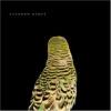 albumhoes van Armchair Apocrypha (Andrew Bird)