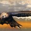 albumhoes van Ongiara (Great Lake Swimmers)