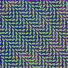 albumhoes van Merriweather Post Pavillion (Animal Collective)