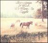 albumhoes van Sometimes I Wish We Were an Eagle (Bill Callahan)