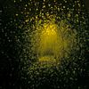 albumhoes van Burst Apart (The Antlers)