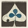 albumhoes van Shields (Grizzly Bear)