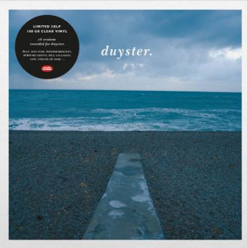 afbeelding duyster.LP